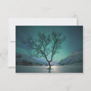 Carte de l'arbre des lumières du Nord
