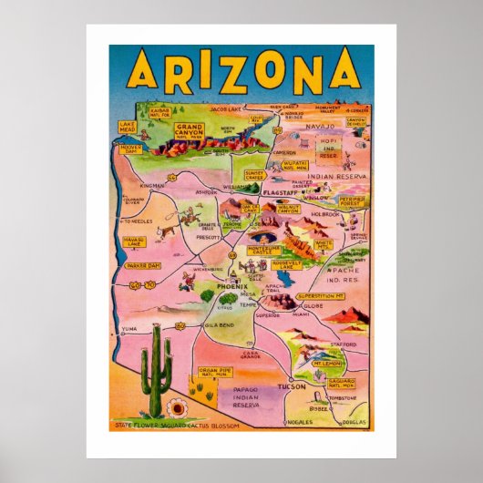 Carte de l'Arizona Affiche 20x28 (Devant)
