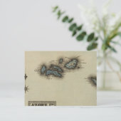 Carte de l'Atlas des îles Azore (Debout devant)