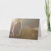 Carte de Leonberger Symapthy (Devant)