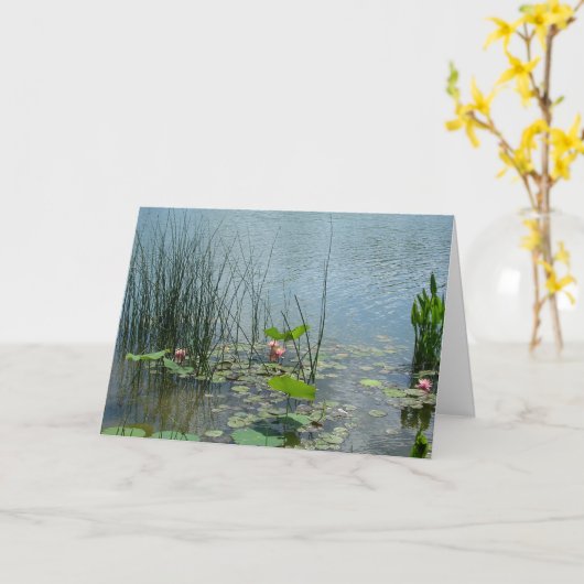 Carte de l'étang aux nénuphars (Fleur jaune)