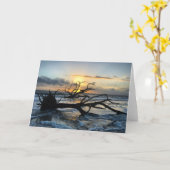 carte de lever de soleil de l'île jekyll #3 (vide (Fleur jaune)