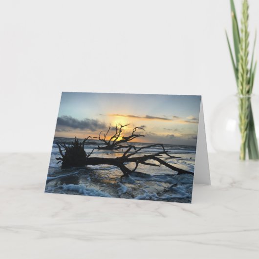 carte de lever de soleil de l'île jekyll #3 (vide (Devant)