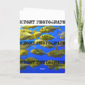 Carte de lévrier (Dos)