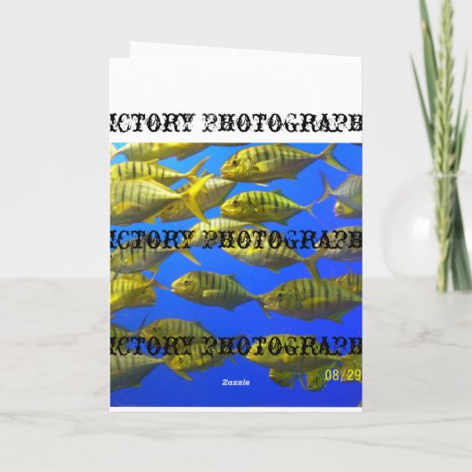 Carte de lévrier (Dos)