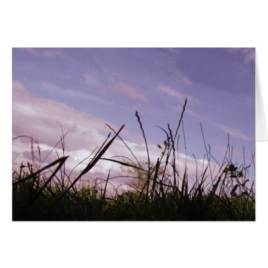 Carte de l'herbe du coucher du soleil (Devant horizontal)