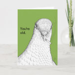 Carte de l'humour du jour<br><div class="desc">Peggy is a pigeon who has lived a long and fulfilling life. Let her deliver your birthday message for you. C'est un simple message. you're old, comme ça. Joyeux anniversaire. Humorous birthday card featuring in original illustration of an old pigeon. Simply says "You're old." sur le front et "Joyeux anniversaire...</div>