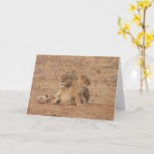 Carte de lion (Fleur jaune)