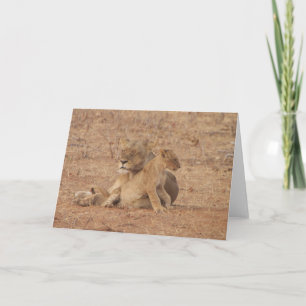 Carte de lion