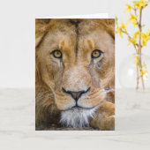 CARTE DE LION BLANK (Fleur jaune)
