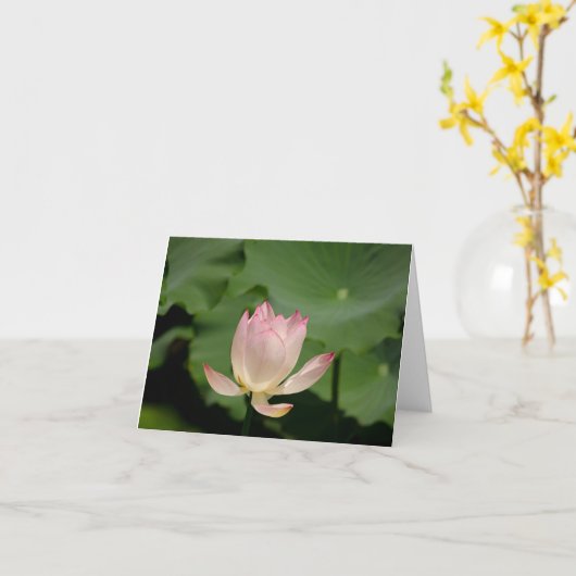 carte de lotus (Fleur jaune)