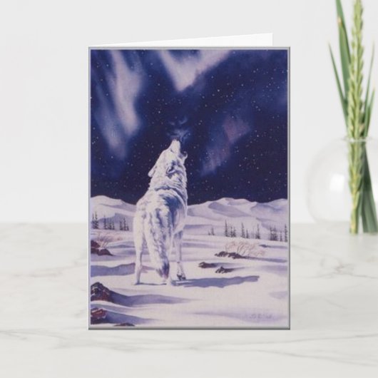 Carte de loup blanc (Devant)