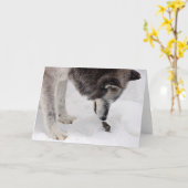 Carte de loup et de souris (Fleur jaune)