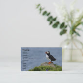 Carte de macareux (Debout devant)