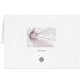Carte de macro à fleurs Lavatera (Dos Horizontal)