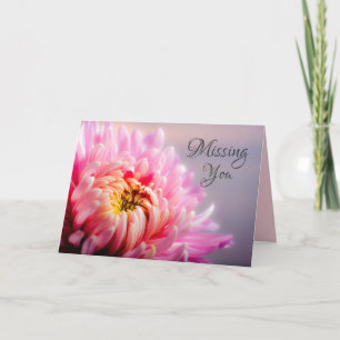 Carte de Macro Photo de Chrysanthème Rose Vous Man