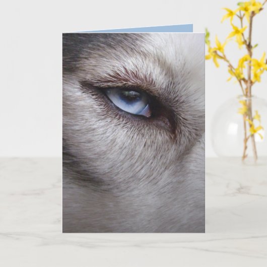 Carte de malamute Sibérienne Husky Card Alaskan (Fleur jaune)