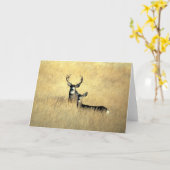 CARTE DE MÂLE ET DE DAINE (Fleur jaune)