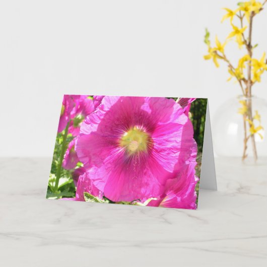 Carte de Malope (Fleur jaune)