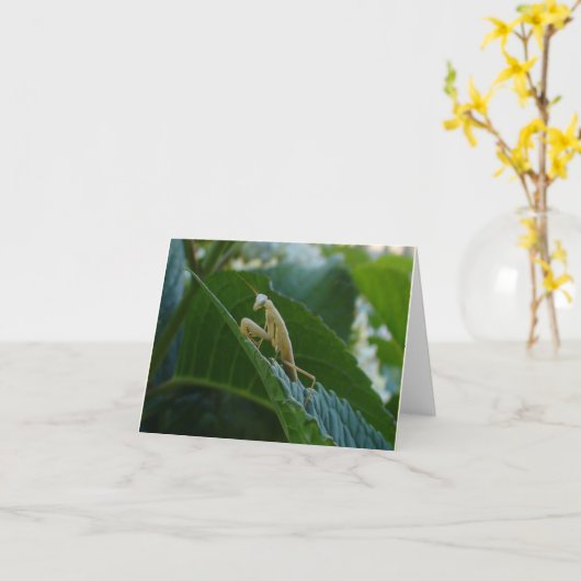 Carte de mante de prière (Fleur jaune)