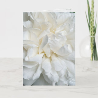 Carte de mariage gros plan rose anglaise blanche