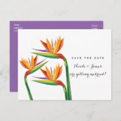 Carte de mariage Oiseau de Paradis Enregistrez la  (Devant / Derrière)