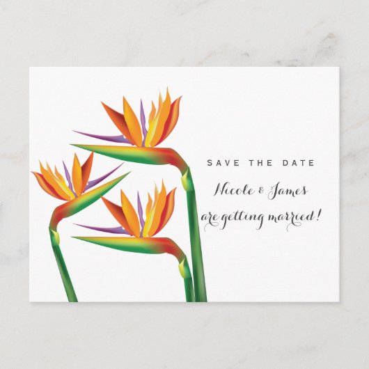 Carte de mariage Oiseau de Paradis Enregistrez la  (Devant)