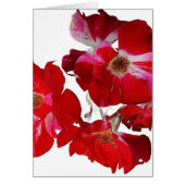 Carte de mariage Rose Rouge (Devant)
