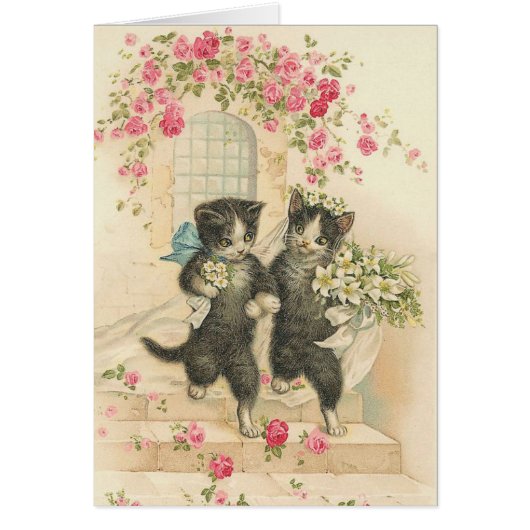Carte de mariage vintage de chat (Devant)