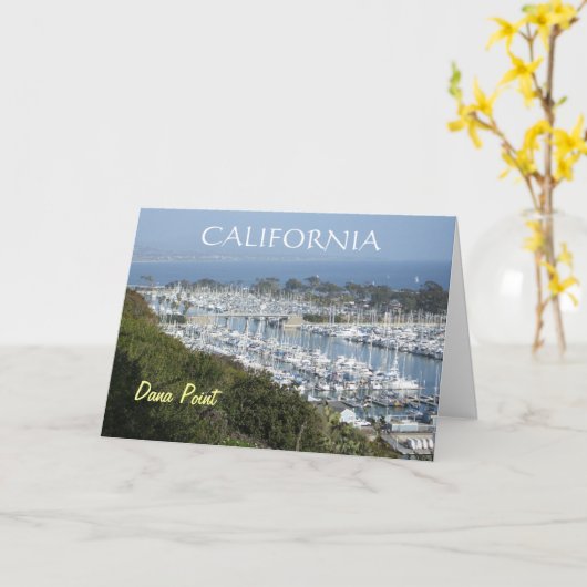 Carte de marina de Dana Point (h) (Fleur jaune)