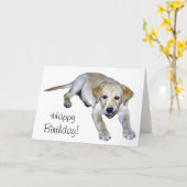 Carte de marionnette jaune Labrador (Fleur jaune)