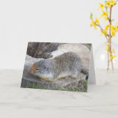 Carte de marmotte (Fleur jaune)