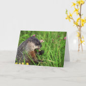 Carte de marmotte à trèfle (Fleur jaune)