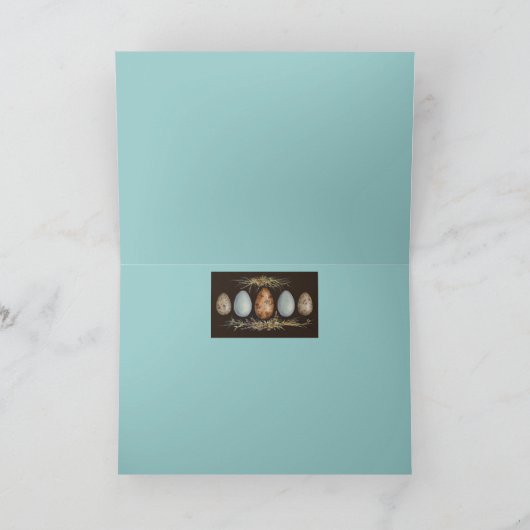 Carte de mars d'oeufs (Intérieur)