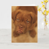 carte de mastiff de chiot de dogue de bordeaux (Fleur jaune)