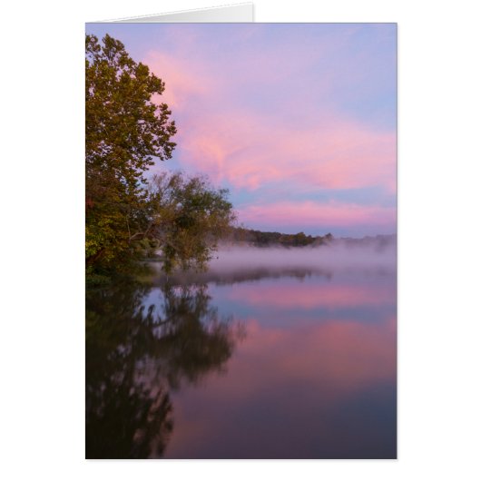 Carte de matin rose brillant (Devant)