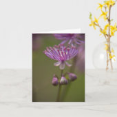 Carte de Meadow (Fleur jaune)