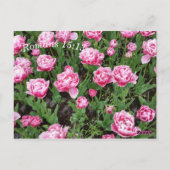 Carte de méditation et de mémorisation des Écritur (Dos)