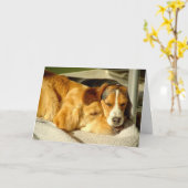 Carte de "meilleurs amis" (Fleur jaune)