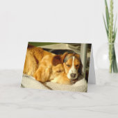 Carte de "meilleurs amis" (Devant)