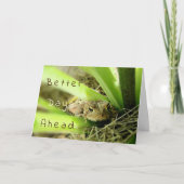 Carte "De Meilleurs Jours À L'Avance" Réfléchi Toad (Devant)