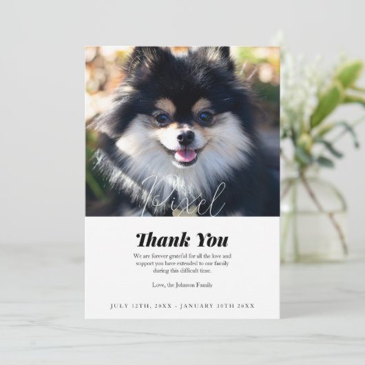 Carte de Merci de la perte de l'animal (Debout devant)