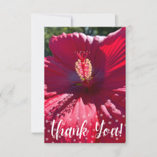 Carte de Merci en Z