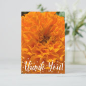 Carte de Merci en Z (Debout devant)