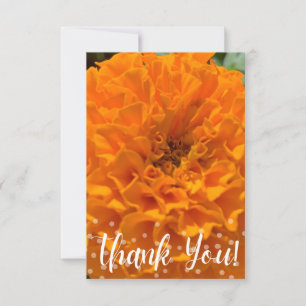 Carte de Merci en Z