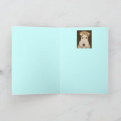 Carte de messagerie fox à poils durs (Intérieur)