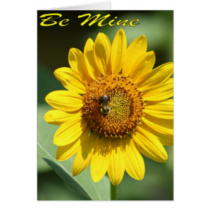 Carte de mine d'abeilles