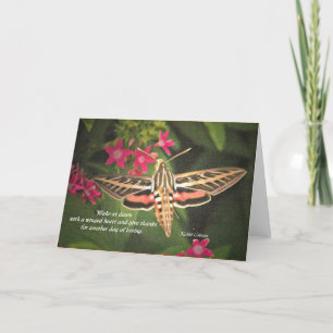 Carte de mite de colibri