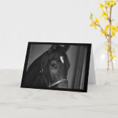 Carte de modèle de carte blanche Cheval (Fleur jaune)