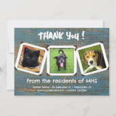 Carte de Modèle photo de Merci de refuge pour anim (Devant)